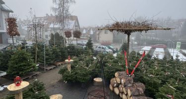 święta Bożego Narodzenia