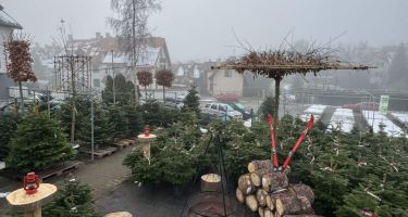 święta Bożego Narodzenia