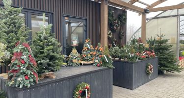 święta Bożego Narodzenia