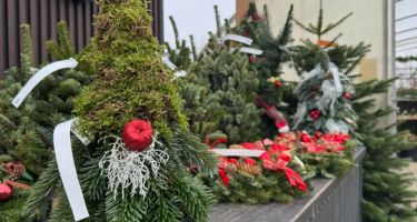 święta Bożego Narodzenia