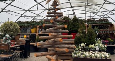 święta Bożego Narodzenia