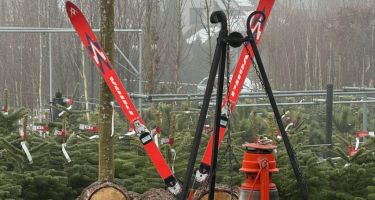 święta Bożego Narodzenia