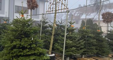 święta Bożego Narodzenia