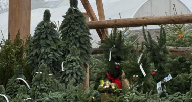 święta Bożego Narodzenia