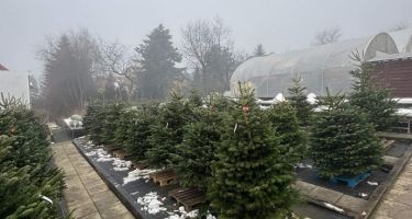 święta Bożego Narodzenia