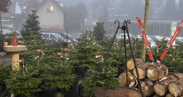 święta Bożego Narodzenia