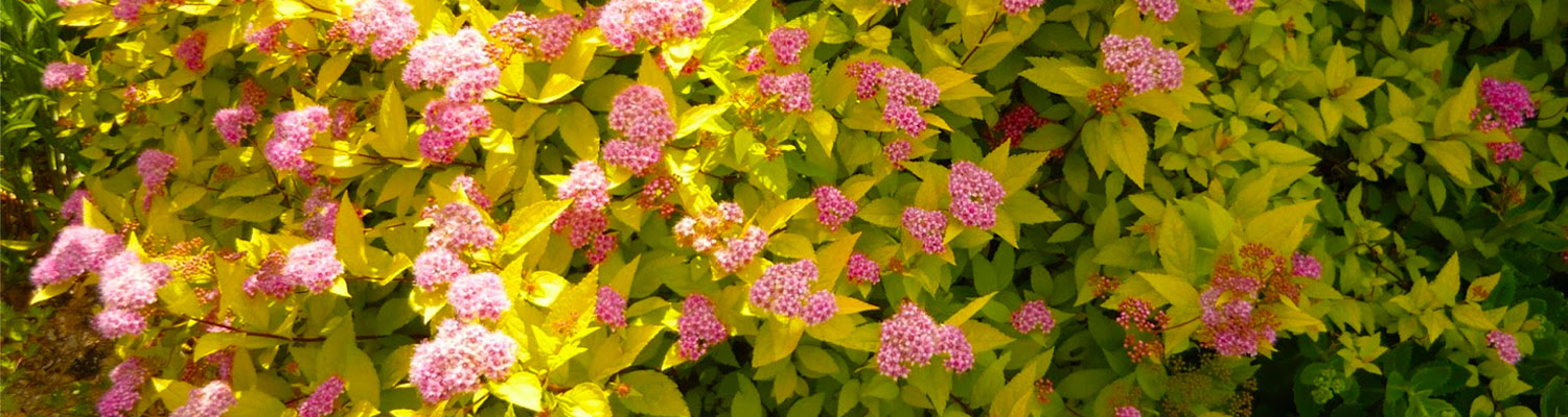 e56ddb4e7833a694a6b344c631a9cb43.jpeg