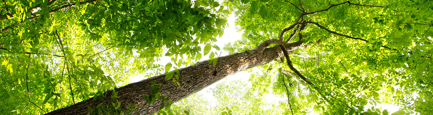 d760e0052054bda5860beeda1fd5393f.jpeg