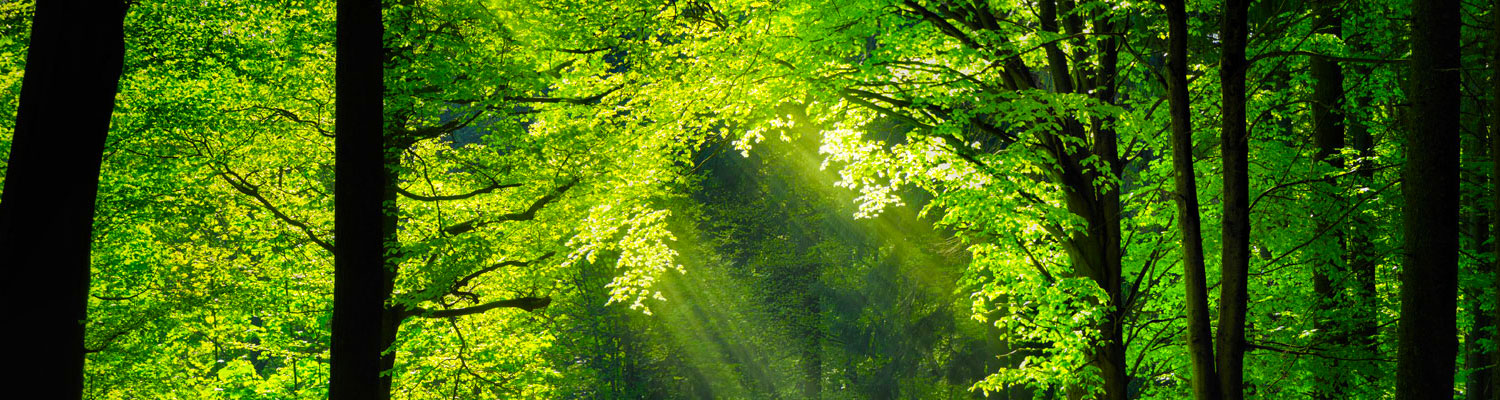 d9544ce8444a200449f6605a200b363c.jpeg