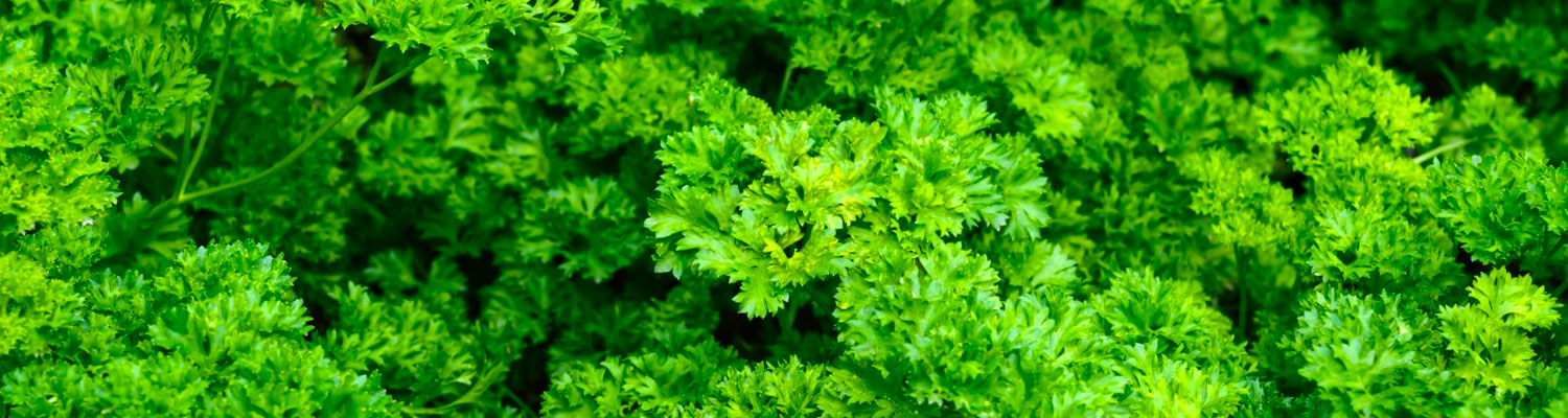 ca11553dec5c61f99009e43e165c6540.jpeg