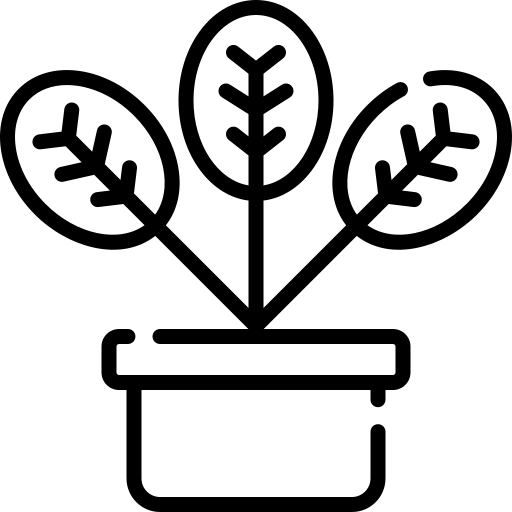 plant_2036515.png