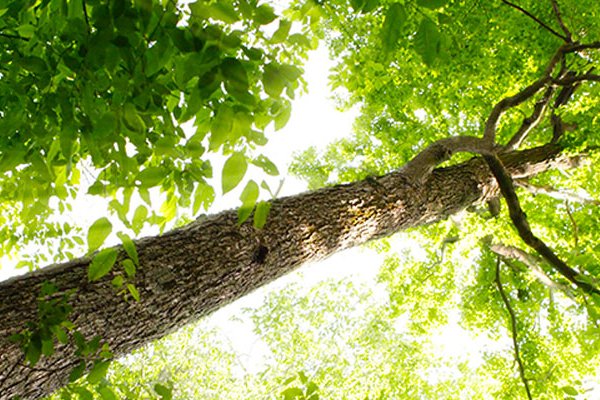 d760e0052054bda5860beeda1fd5393f.jpeg